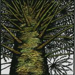 Bunya Pine artwork