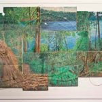 Lake Eacham artwork