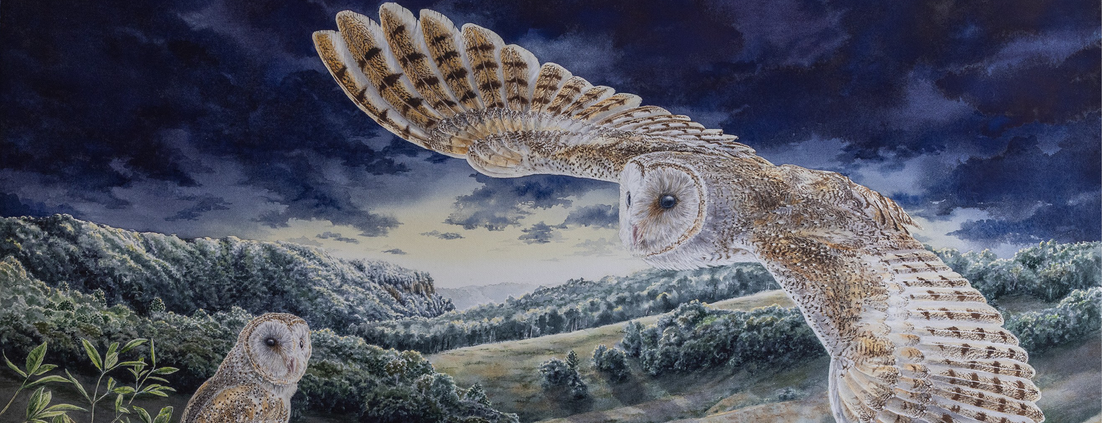 Website Event Banners – Mervyn Moriarty Solo Exhibition