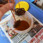 Sam Rit Residency and Cultural Exchange 2016