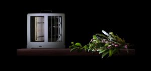 REAP by Donna Davis, 2020 - Queensland Regional Art Awards Entry, 2020